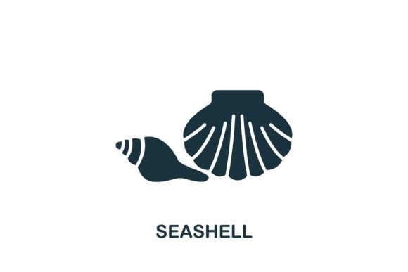 Seashell Icon Graphics for Digital Sellers